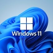 Windows 11