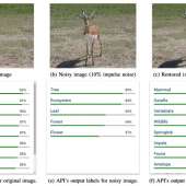 Adding Noise to Images Is Enough to Fool Google's Top-Notch Image Recognition AI