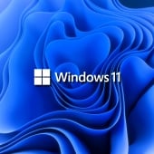 Windows 11