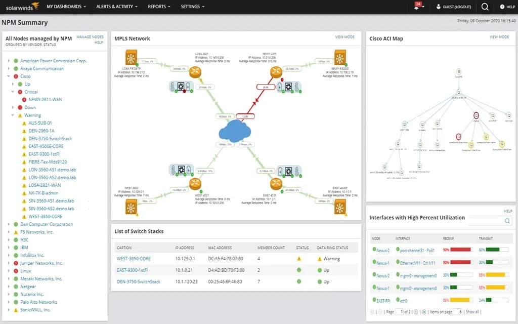 Solarwinds NPM summary