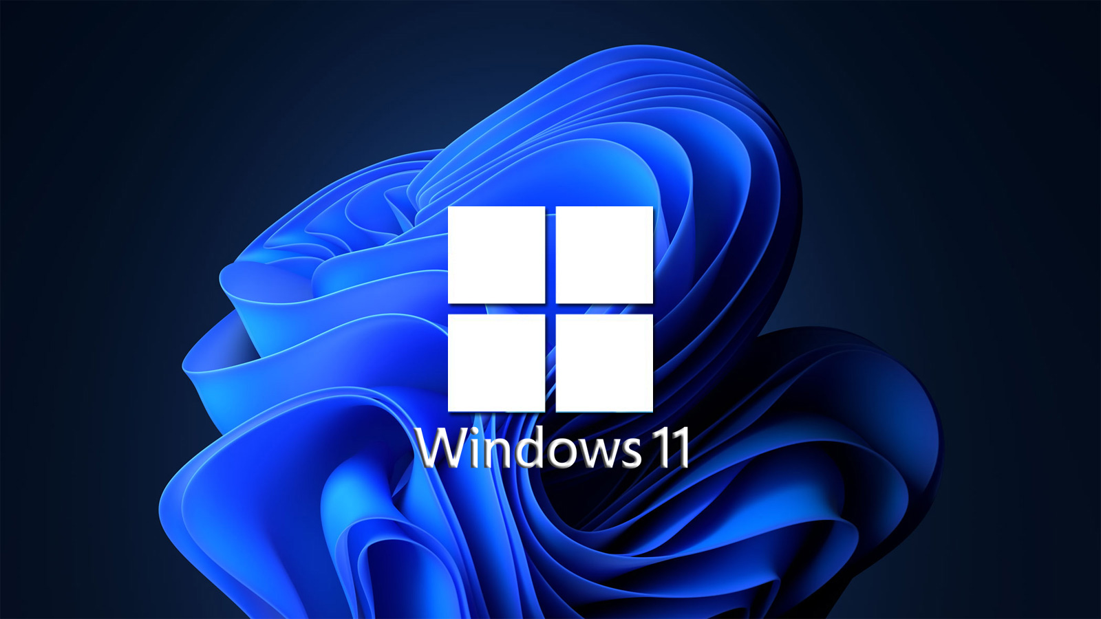 Windows 11