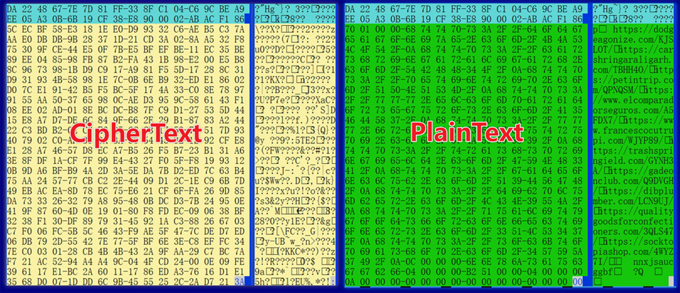 Hardcoded C2 addresses