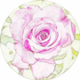 NATURE AND WILDLIFE - last post by violetrose