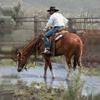 Rodeo gone wrong! Bull charges helpless woman as people tossed 'like rag dolls' - last post by ranchhand_